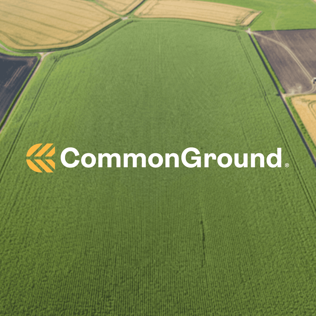CommonGround